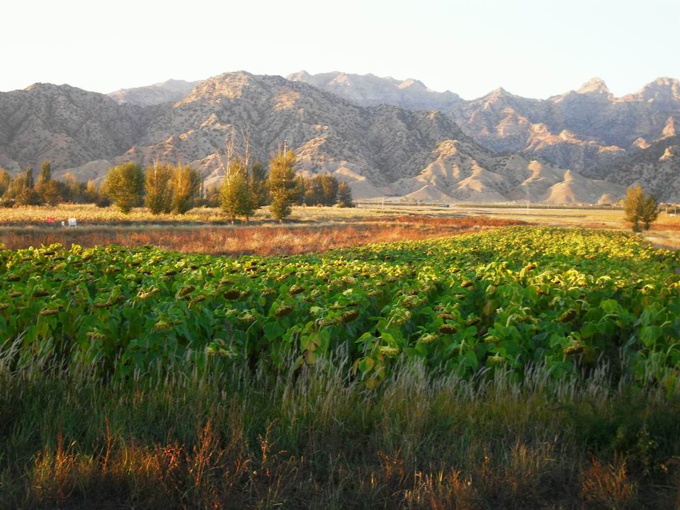 调整大小 SDC11094.JPG