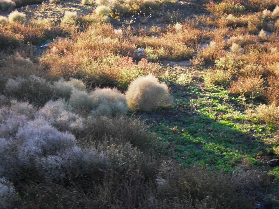 调整大小 SDC11083.JPG