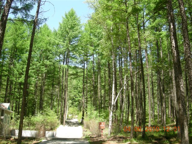 漠河之旅 076.jpg