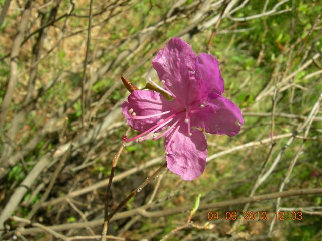 漠河之旅 079.jpg