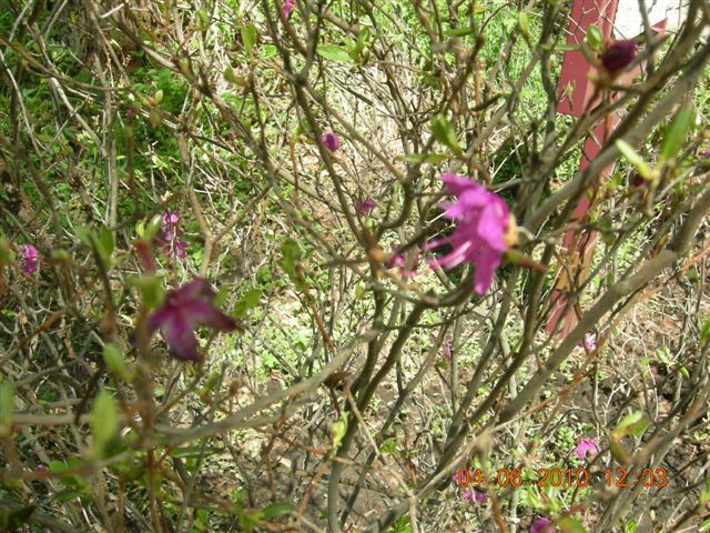 漠河之旅 078.jpg