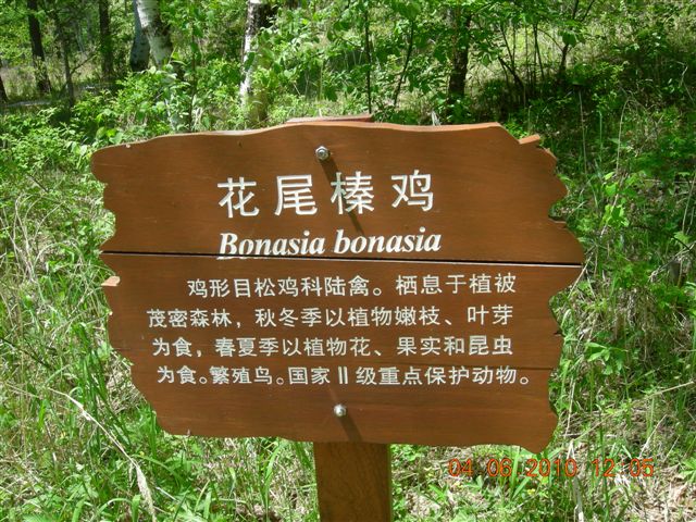 漠河之旅 084.jpg