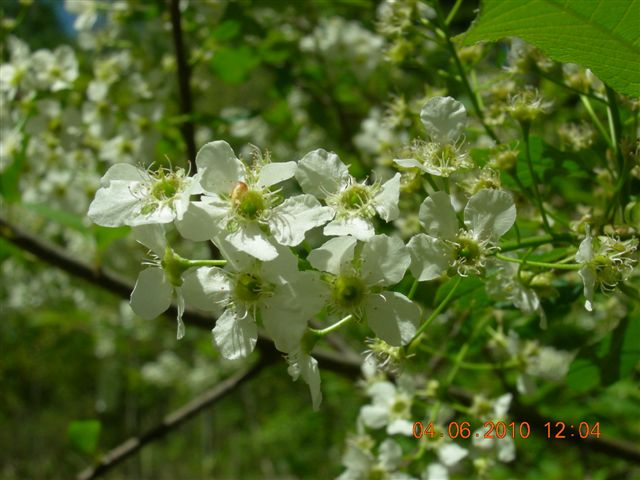 漠河之旅 083.jpg