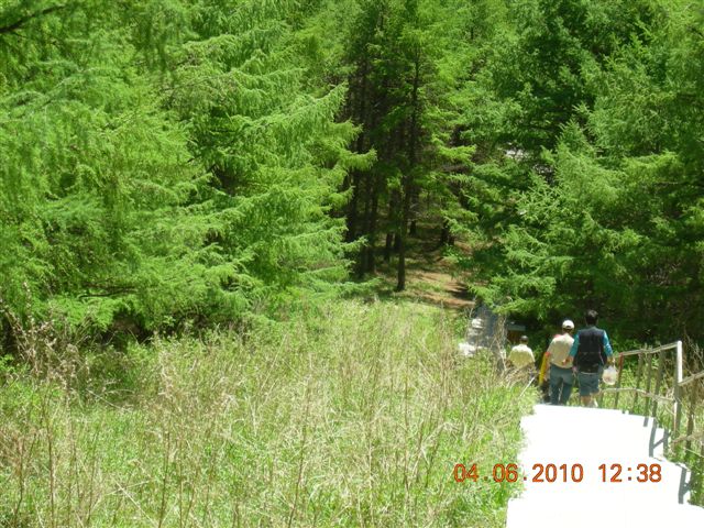 漠河之旅 113.jpg