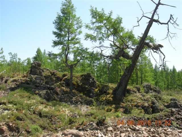 漠河之旅 119.jpg