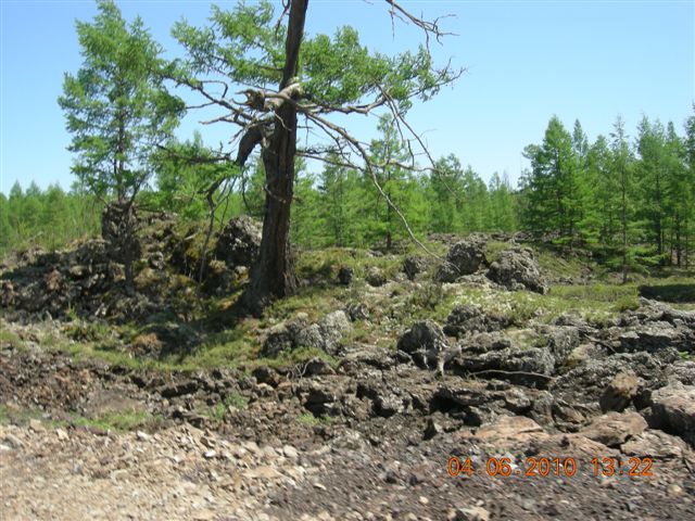 漠河之旅 118.jpg