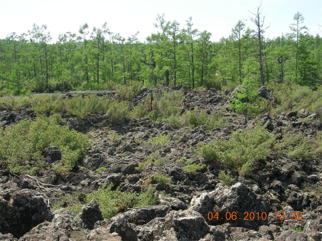 漠河之旅 121.jpg