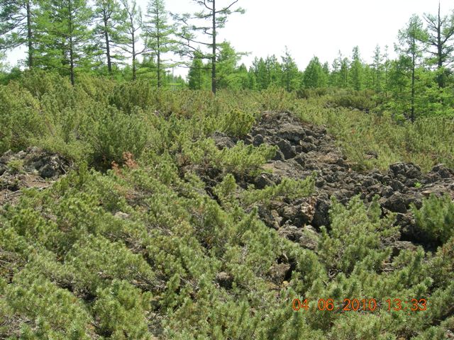 漠河之旅 122.jpg