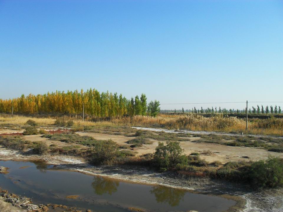 调整大小 SDC11115.JPG