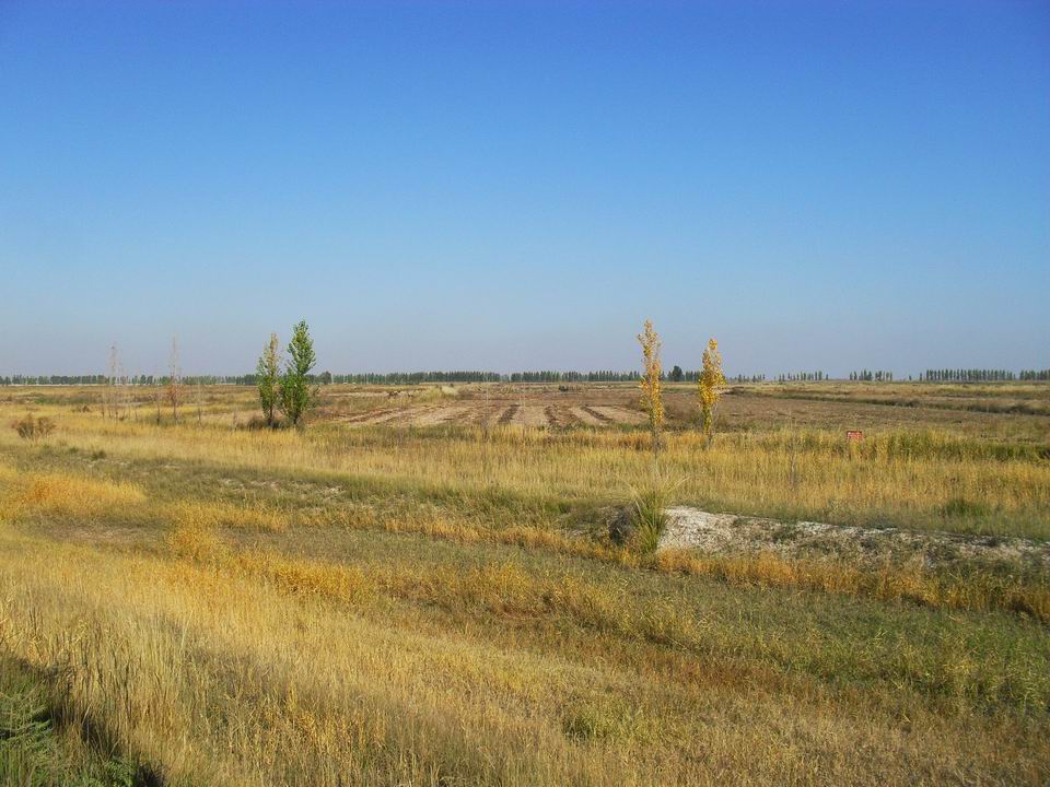 调整大小 SDC11128.JPG