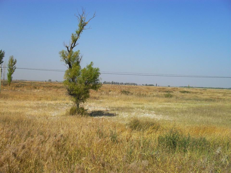 调整大小 SDC11144.JPG