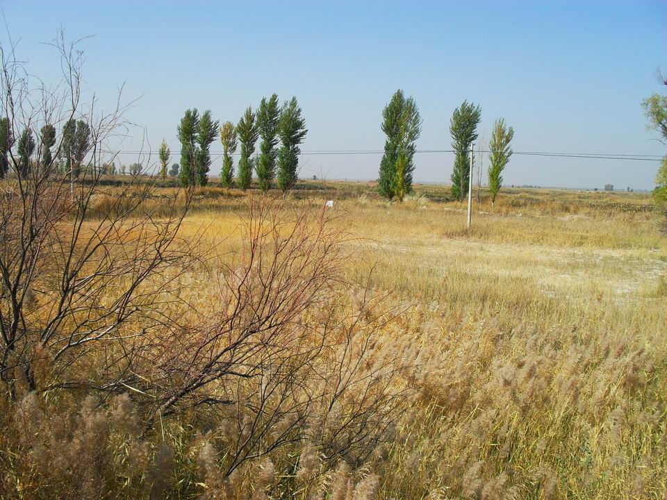 调整大小 SDC11146.JPG