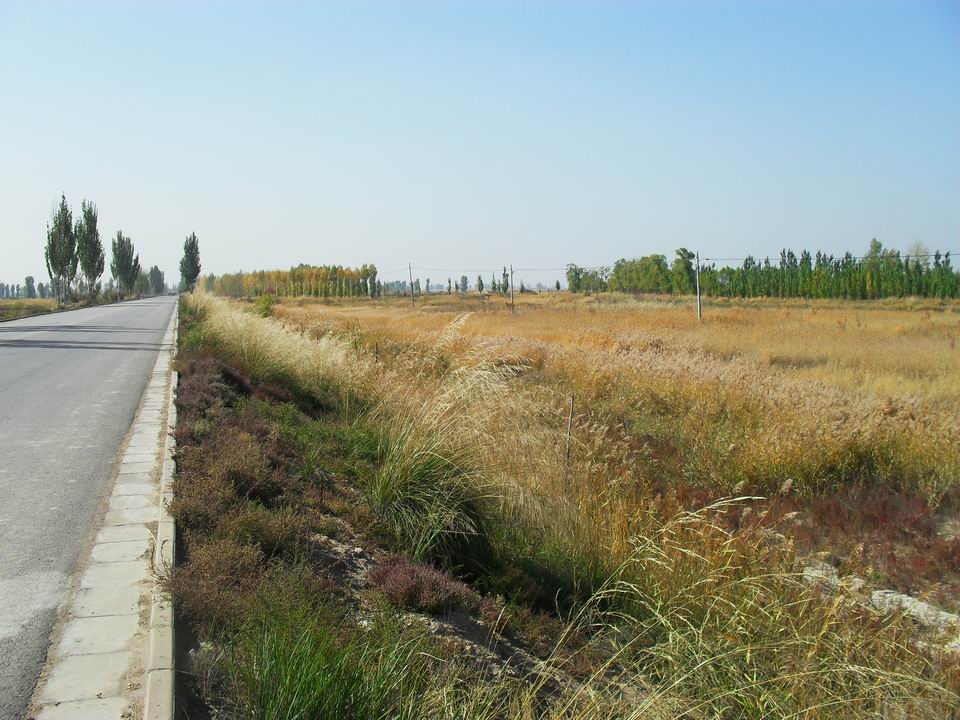 调整大小 SDC11150.JPG