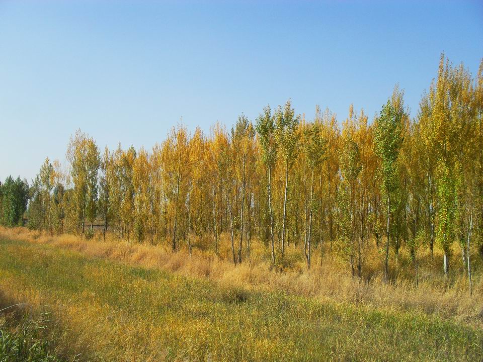 调整大小 SDC11158.JPG