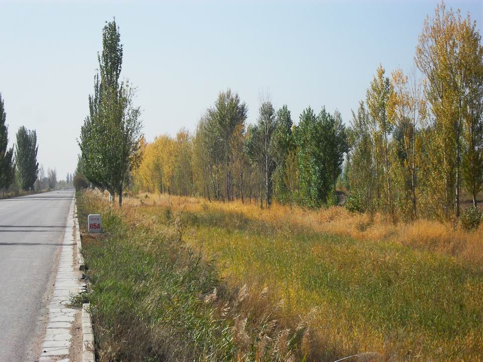 调整大小 SDC11156.JPG