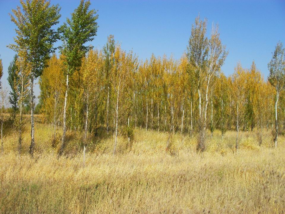 调整大小 SDC11160.JPG