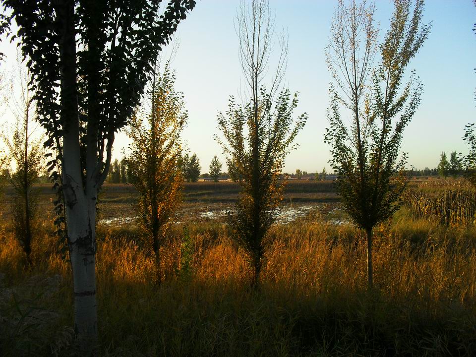 调整大小 SDC11189.JPG