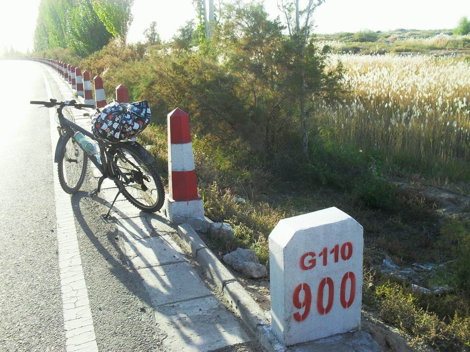 调整大小 SDC11182.JPG