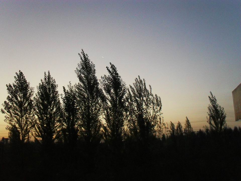 调整大小 SDC11204.JPG