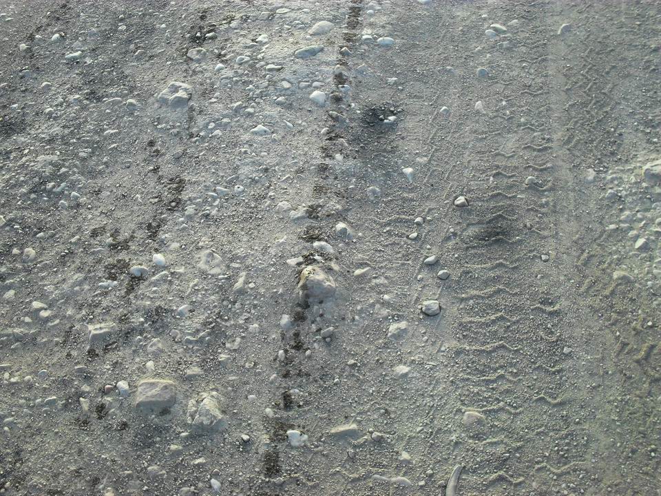 调整大小 SDC11234.JPG