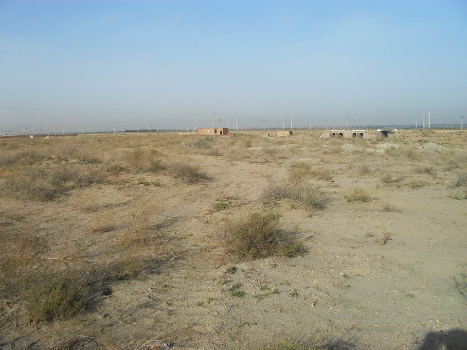 调整大小 SDC11245.JPG