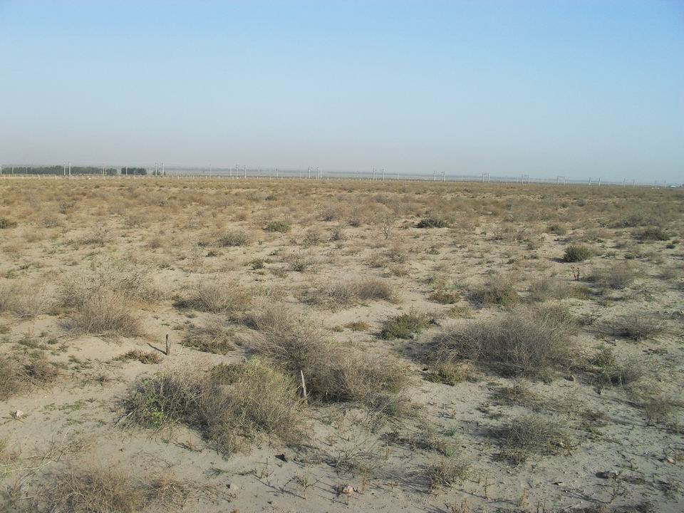 调整大小 SDC11254.JPG