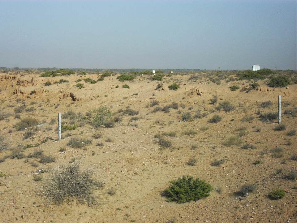 调整大小 SDC11283.JPG