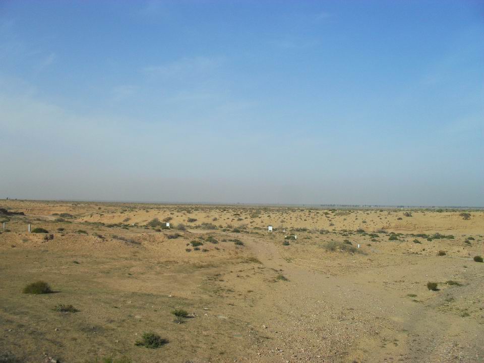 调整大小 SDC11282.JPG