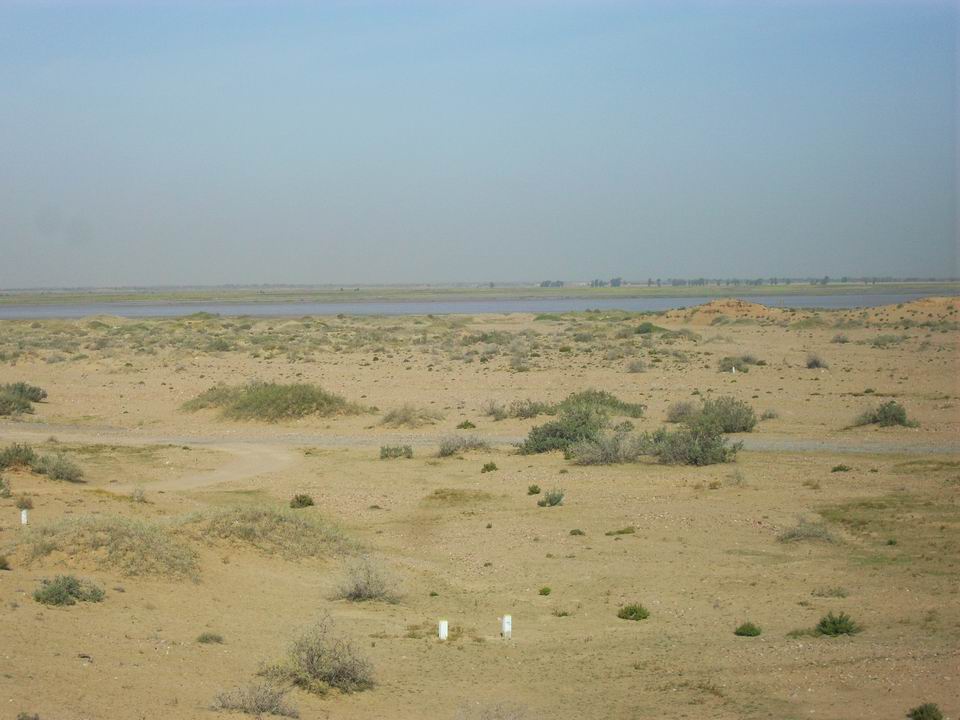 调整大小 SDC11291.JPG