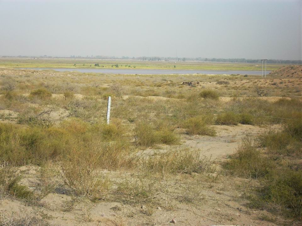 调整大小 SDC11278.JPG