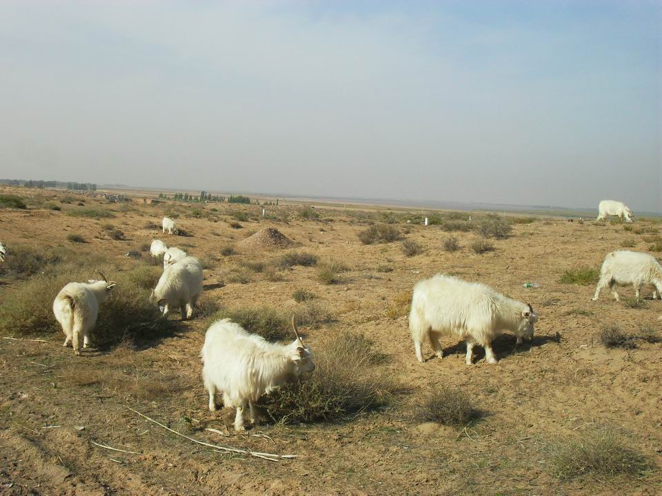 调整大小 SDC11296.JPG