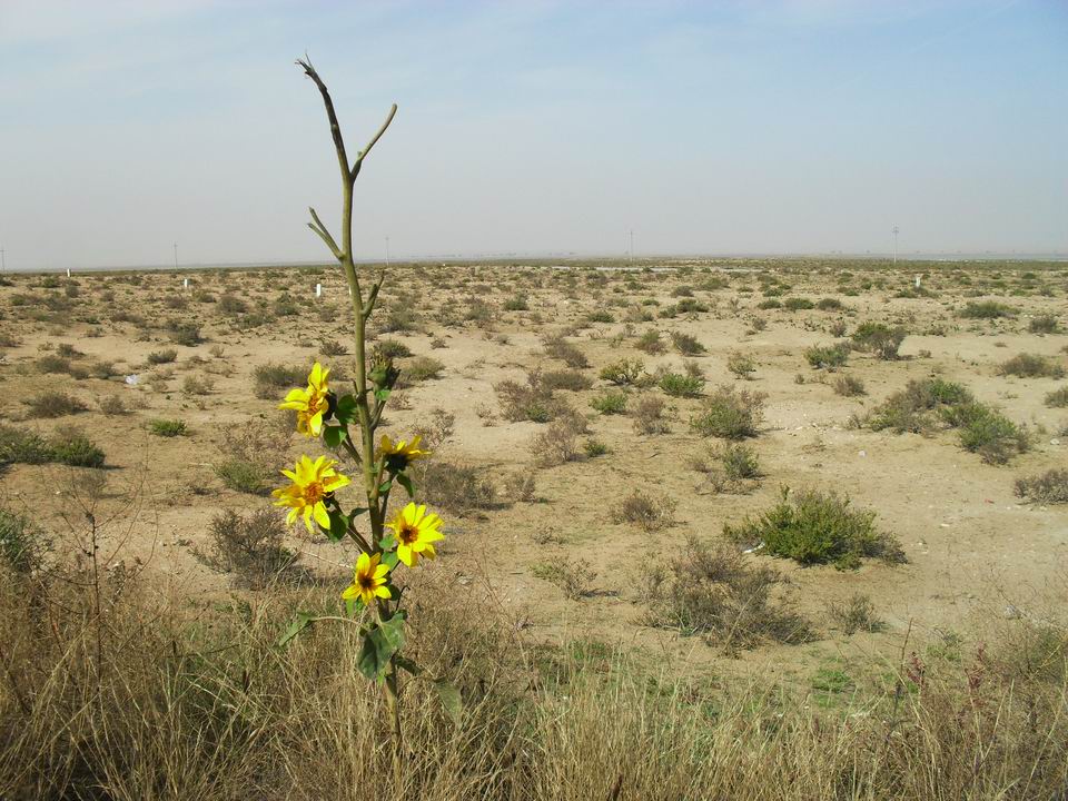 调整大小 SDC11319.JPG