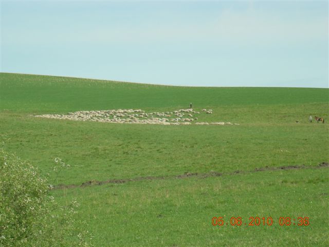 漠河之旅 158.jpg