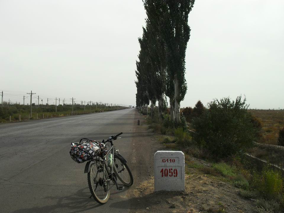 调整大小 SDC11339.JPG