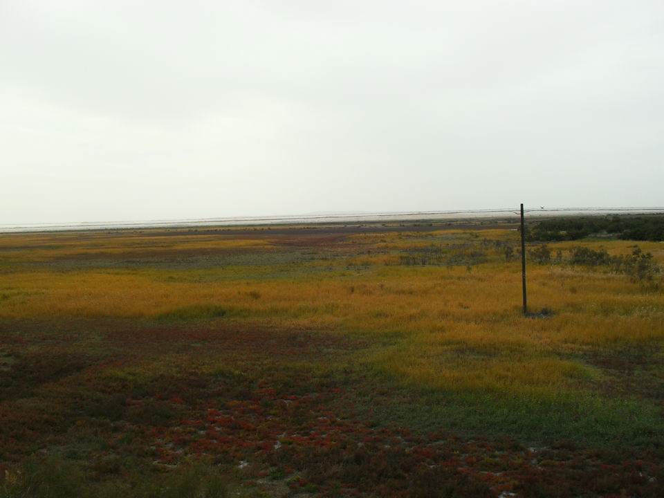 调整大小 SDC11342.JPG