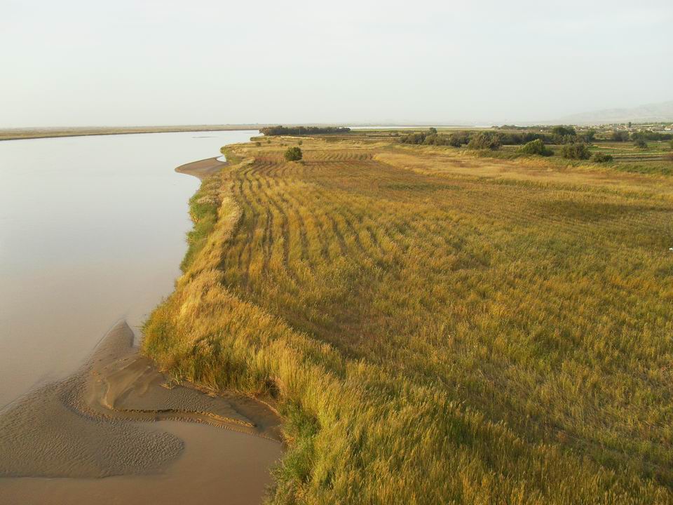 调整大小 SDC11364.JPG