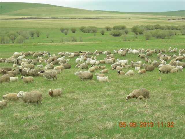 漠河之旅 167.jpg