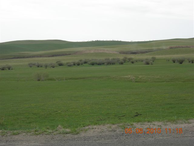 漠河之旅 166.jpg