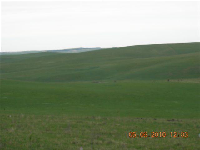 漠河之旅 174.jpg