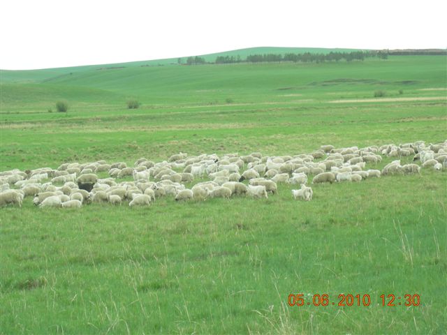 漠河之旅 178.jpg