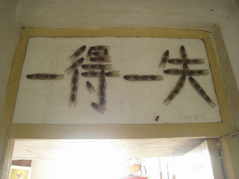 复件 DSC06369_调整大小.JPG