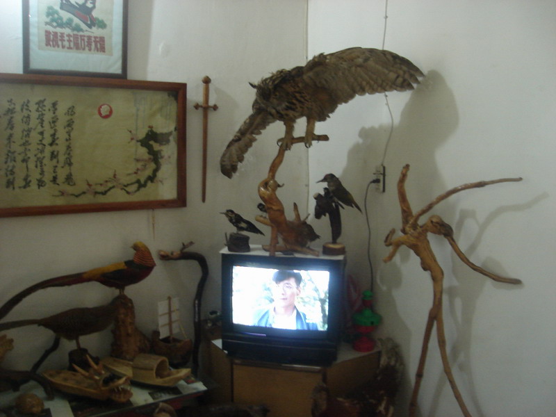 复件 DSC06358_调整大小.JPG