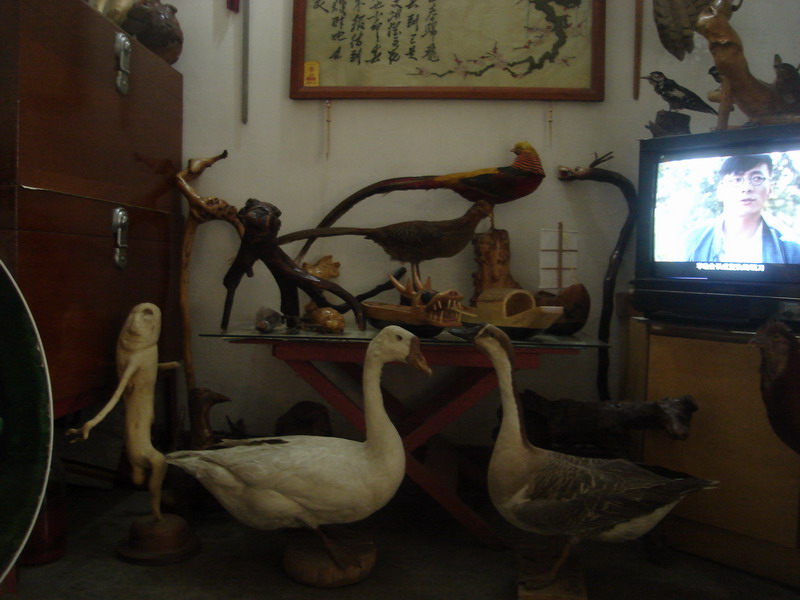 复件 DSC06359_调整大小.JPG