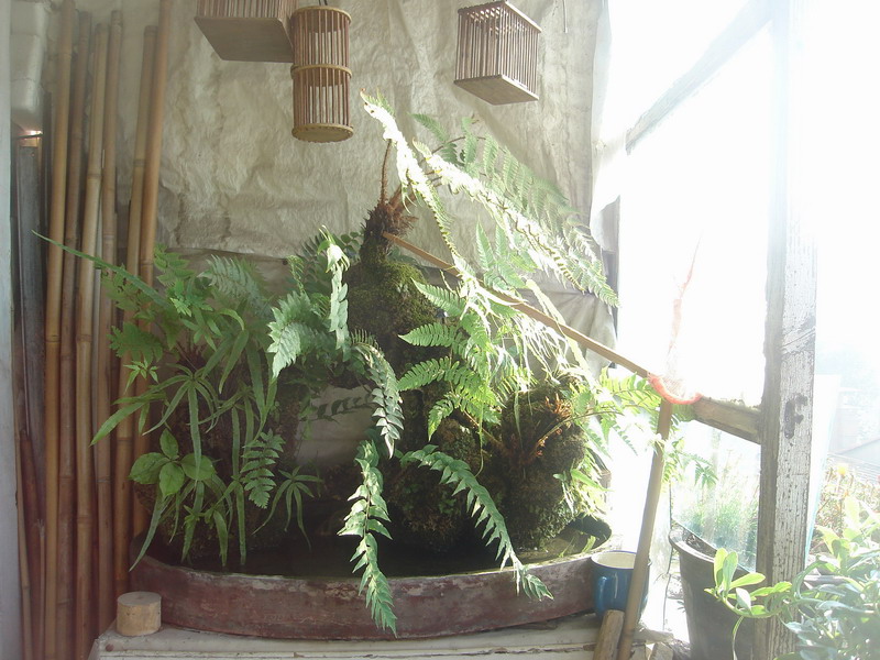 复件 DSC06364_调整大小.JPG