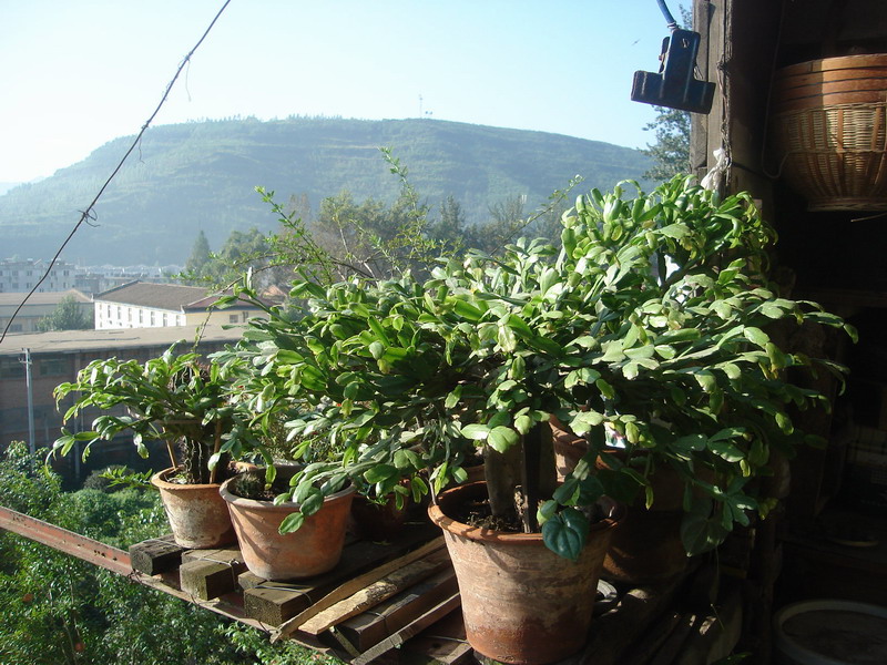 复件 DSC06365_调整大小.JPG