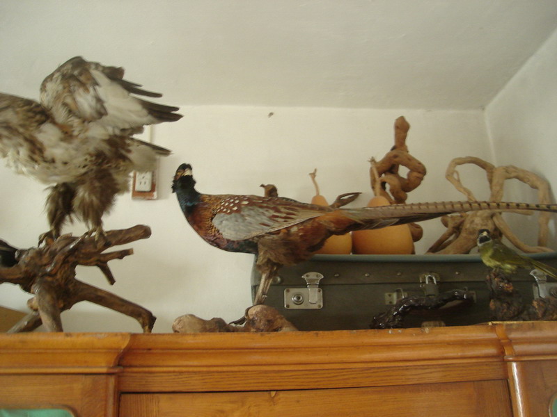 复件 DSC06360_调整大小.JPG