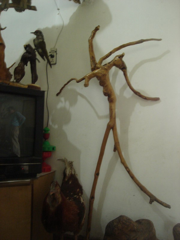 复件 DSC06368_调整大小.jpg