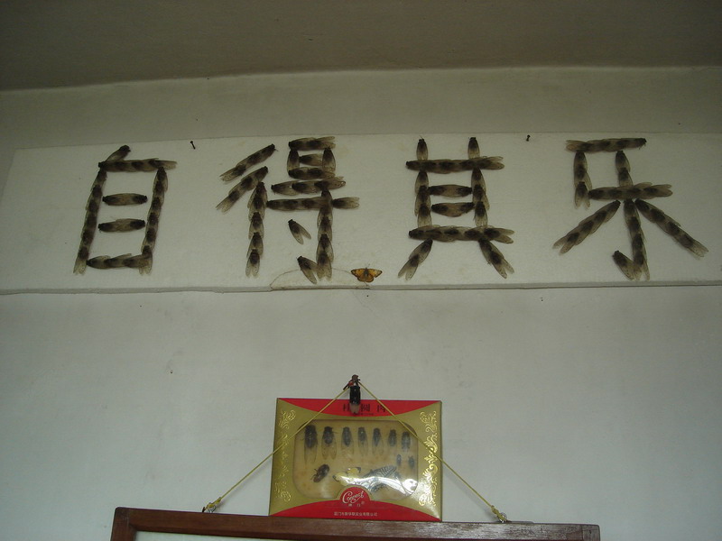 复件 DSC06370_调整大小.JPG