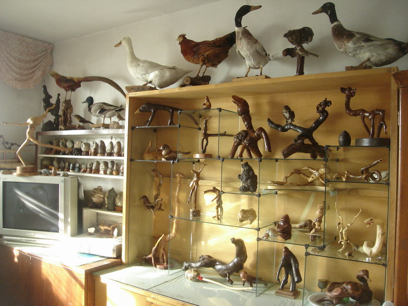 复件 DSC06361_调整大小.JPG