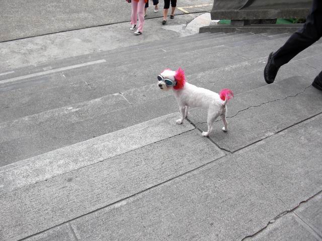 调整大小 CIMG1516.JPG